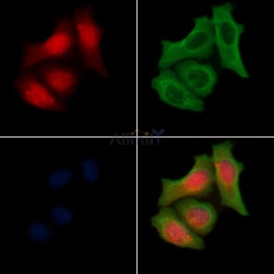 Валидация Affinity AF6506 - 3839