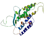 G Protein Coupled Receptor 119 (GPR119) G Protein Coupled Receptor 119 (GPR119)
