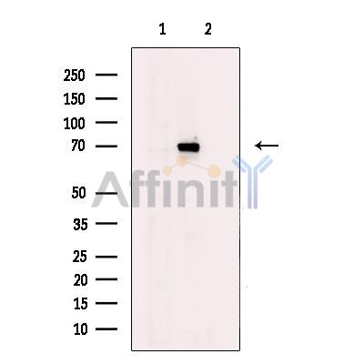 Валидация Affinity DF13582 - 9053