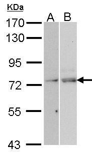 Валидация AssayVector ARM2040(3079)