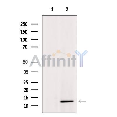 Валидация Affinity DF2908 - 13640