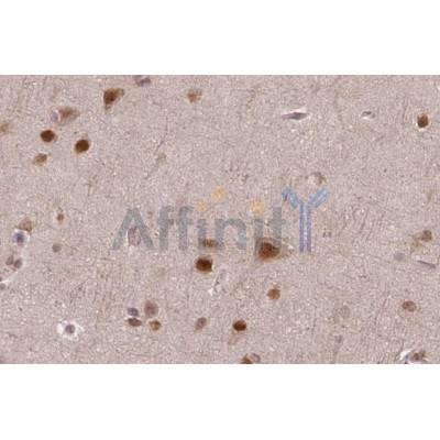 Валидация Affinity DF10064 - 5538