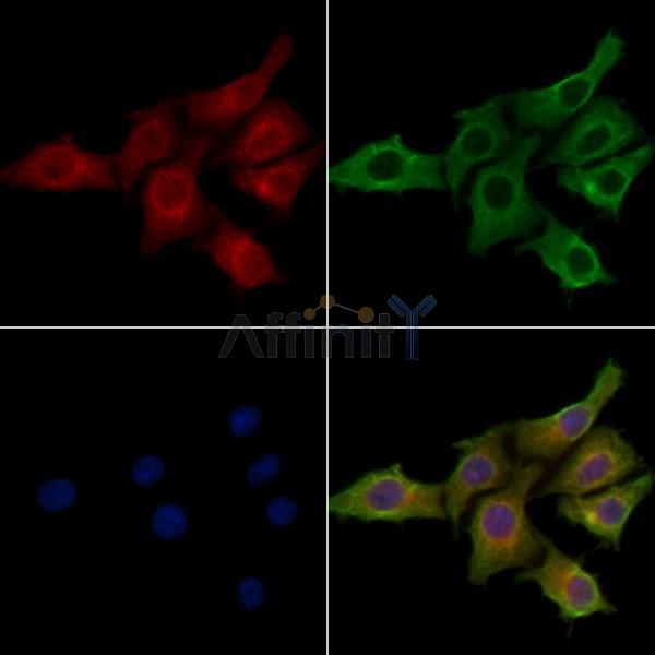 Валидация Affinity DF4220 - 15591