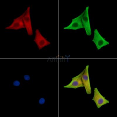 Валидация Affinity DF15508 - 11889