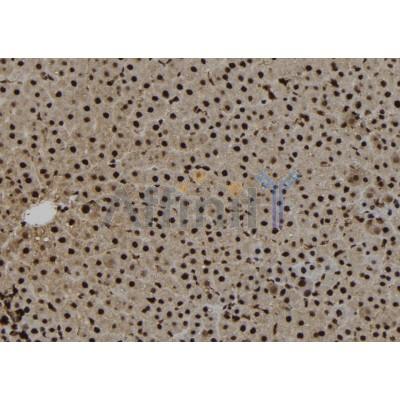 Валидация Affinity DF12427 - 6940