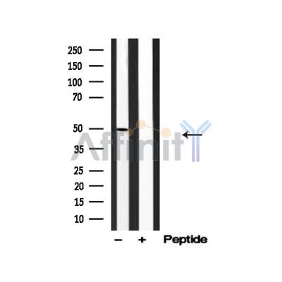 Валидация Affinity AF4788 - 2407