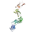 Leukemia Inhibitory Factor Receptor (LIFR) Leukemia Inhibitory Factor Receptor (LIFR)