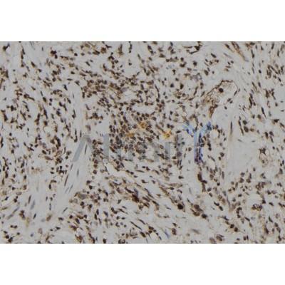 Валидация Affinity DF2919 - 13654