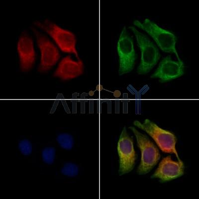 Валидация Affinity DF13501 - 8890