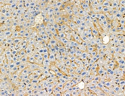 Валидация Affinity DF15683 - 12140