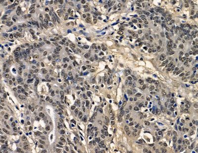 Валидация Affinity DF13997 - 9753