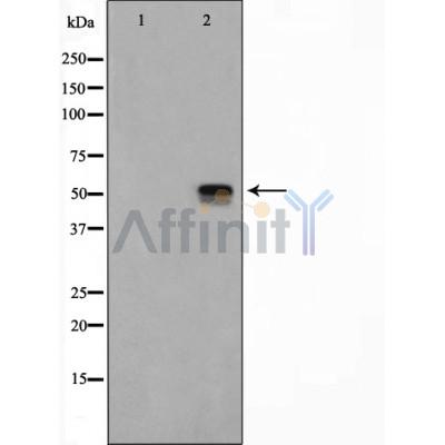 Валидация Affinity AF5321 - 2885