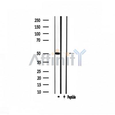 Валидация Affinity DF3471 - 14384