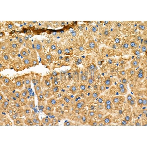 Валидация Affinity DF2933 - 13676