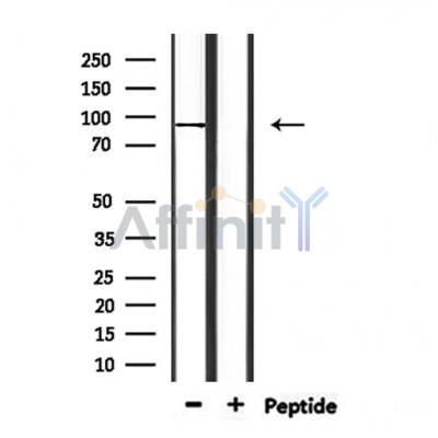 Валидация Affinity DF9443 - 22017