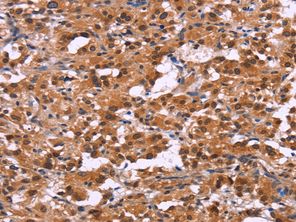 Валидация AssayVector ARM2502(4471)