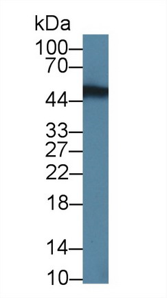 8767