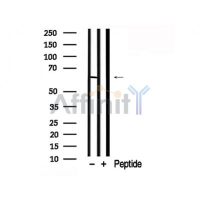 Валидация Affinity AF7792 - 4506