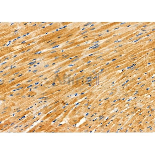 Валидация Affinity DF6695 - 18199