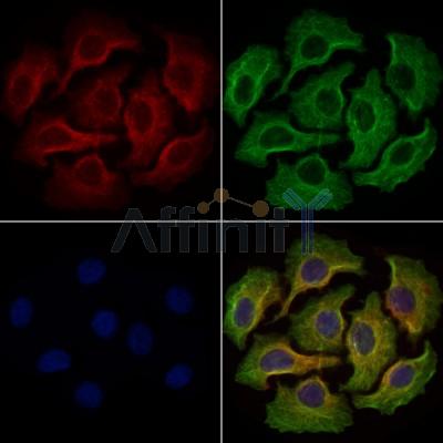 Валидация Affinity DF7320 - 19013