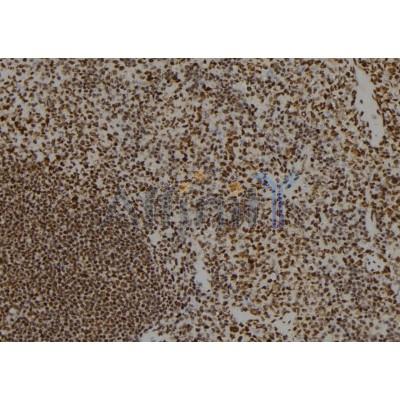 Валидация Affinity DF9781 - 22626