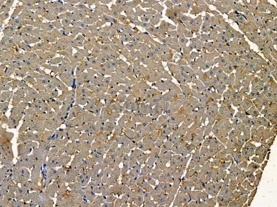 Валидация Affinity DF4470 - 15999