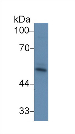 9214