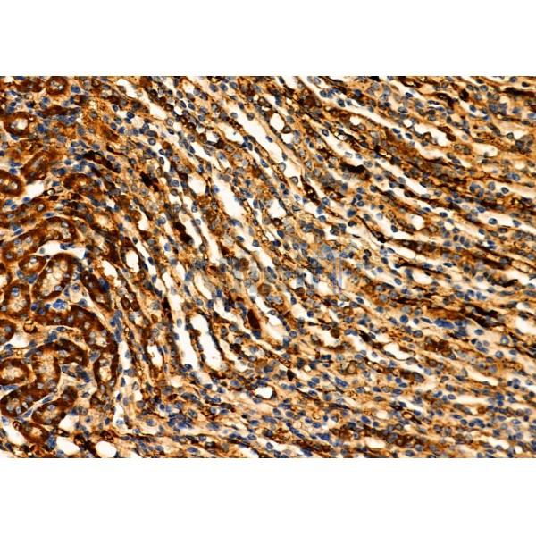 Валидация Affinity DF6705 - 18218