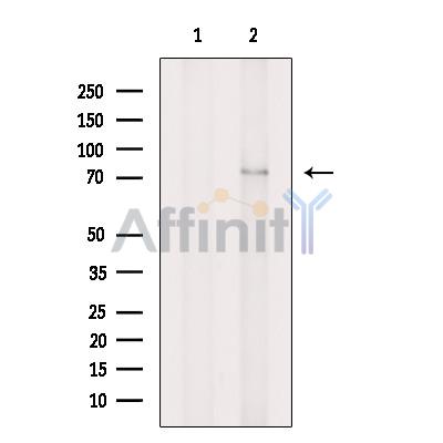 Валидация Affinity DF7718 - 19508
