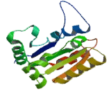 Interleukin 1 Receptor Accessory Protein Like Protein 1 (IL1RAPL1) Interleukin 1 Receptor Accessory Protein Like Protein 1 (IL1RAPL1)