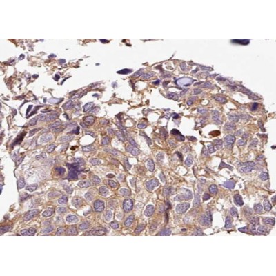 Валидация Affinity AF3491 - 2021