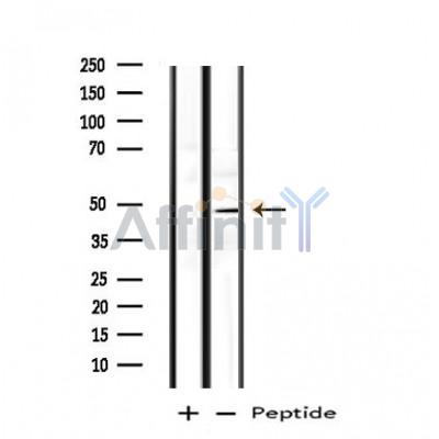 Валидация Affinity DF4769 - 16482