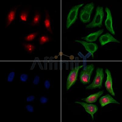 Валидация Affinity DF6154 - 17391