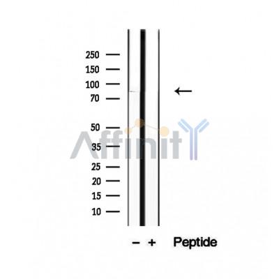 Валидация Affinity DF12439 - 6961
