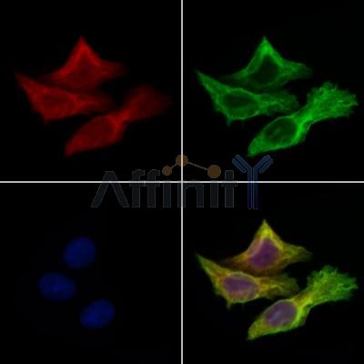 Валидация Affinity DF7867 - 19685