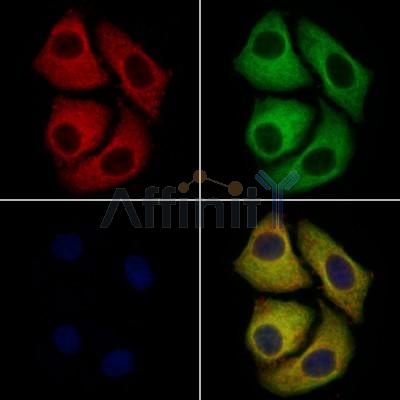 Валидация Affinity DF3611 - 14581