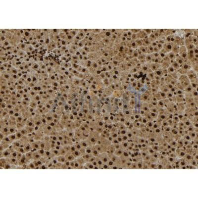 Валидация Affinity DF9122 - 21438