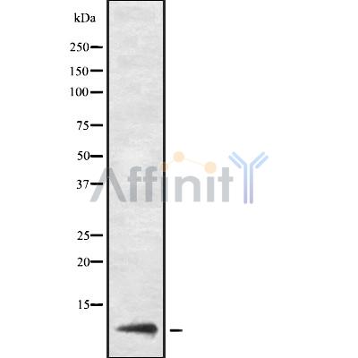 Валидация Affinity DF8215 - 20050