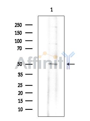 Валидация Affinity DF14070 - 9853