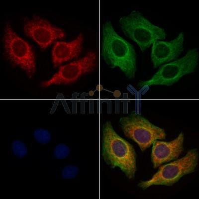 Валидация Affinity AF9048 - 4793