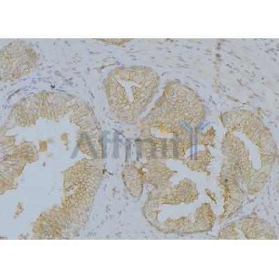 Валидация Affinity AF5479 - 3154