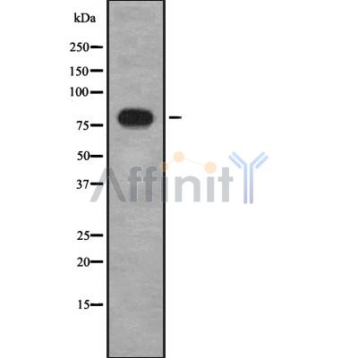 Валидация Affinity DF8379 - 20251