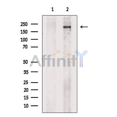 Валидация Affinity AF6289 - 3550
