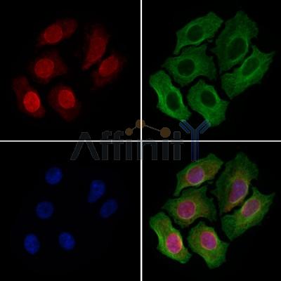 Валидация Affinity DF9707 - 22494