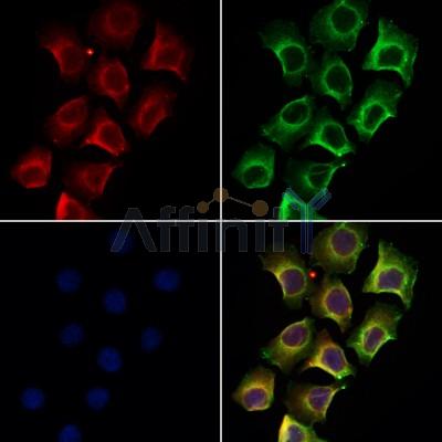 Валидация Affinity DF3329 - 14192