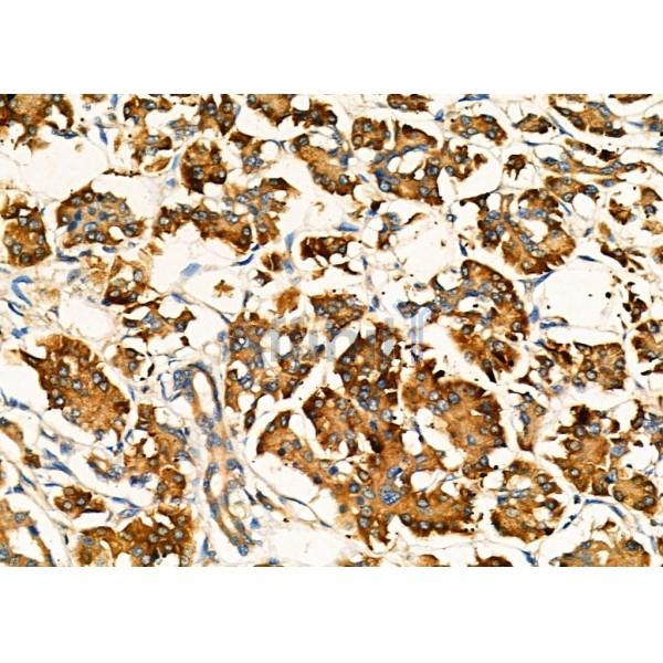 Валидация Affinity DF6733 - 18268