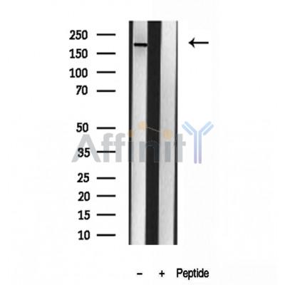 Валидация Affinity DF12011 - 6015