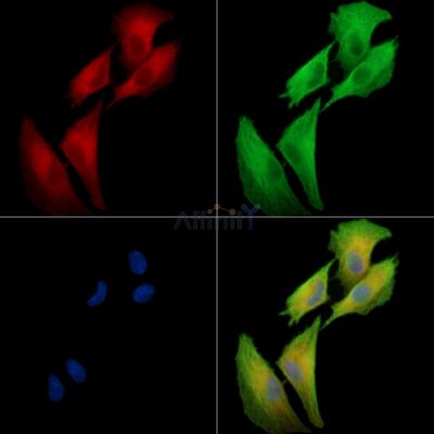 Валидация Affinity DF13913 - 9649