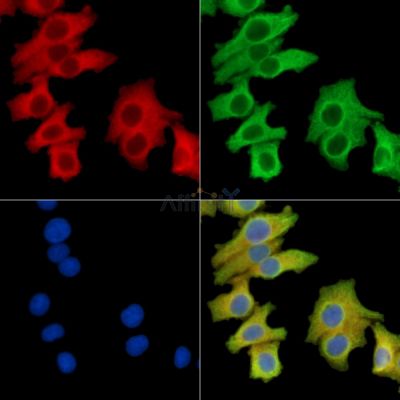 Валидация Affinity DF14613 - 10635