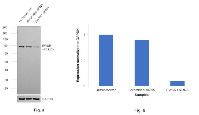 Валидация AssayVector ARM1306(816)